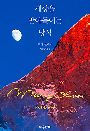 세상을 받아들이는 방식 표지