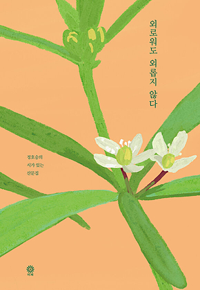 외로워도 외롭지 않다 : 정호승의 시가 있는 산문집 표지