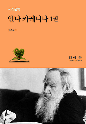 안나 카레니나 1권 표지