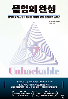 몰입의 완성 : 당신의 꿈과 실행의 격차를 메워줄 30일 몰입 특급 솔루션 표지
