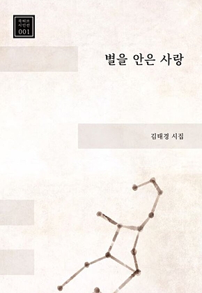 별을 안은 사랑 표지