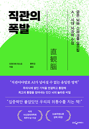 직관의 폭발  표지