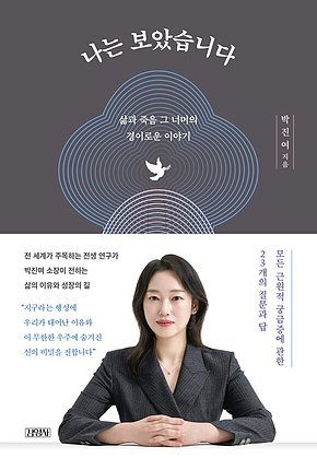 나는 보았습니다 : 삶과 죽음 그 너머의 경이로운 이야기 표지