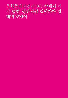 뚱한 펭귄처럼 걸어가다 장대비 맞았어 (문학동네시인선 165) 표지