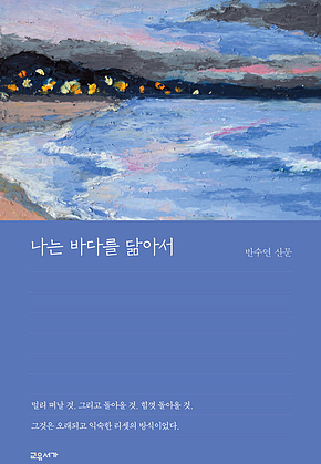 나는 바다를 닮아서 표지