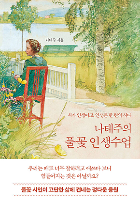 나태주의 풀꽃 인생수업 : 시가 인생이고, 인생은 한 편의 시다 표지