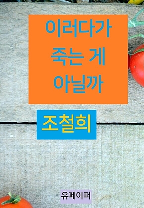 이러다가 죽는 게 아닐까 표지