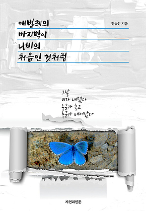 애벌레의 마지막이 나비의 처음인 것처럼 표지