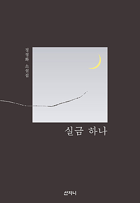 실금 하나 표지