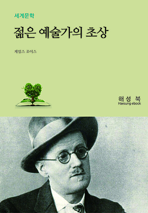 젊은 예술가의 초상 표지
