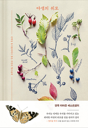 야생의 위로 표지