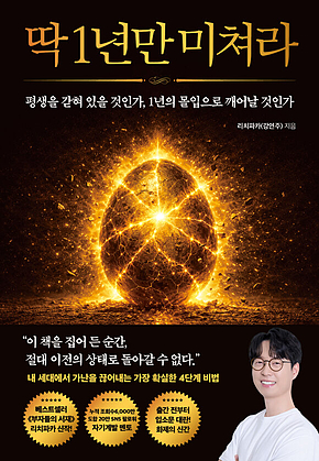 딱 1년만 미쳐라 표지