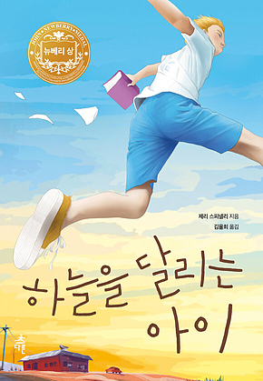 하늘을 달리는 아이 (개정판) 표지