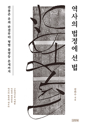 역사의 법정에 선 법 표지