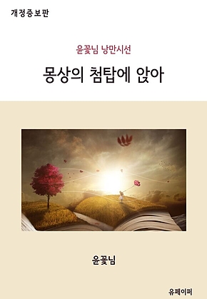 몽상의 첨탑에 앉아 (개정증보판) 표지