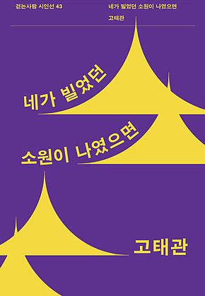 네가 빌었던 소원이 나였으면 : 걷는사람 시인선 43 표지
