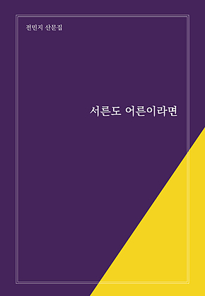 서른도 어른이라면 표지