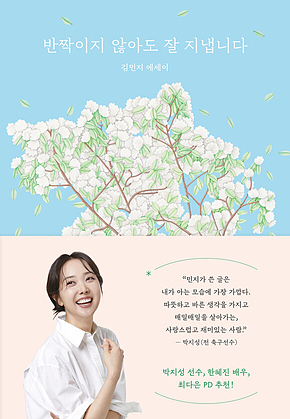 반짝이지 않아도 잘 지냅니다 표지