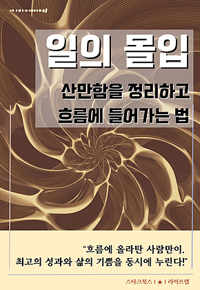 일의 몰입 표지