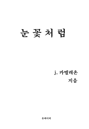 눈꽃처럼 표지