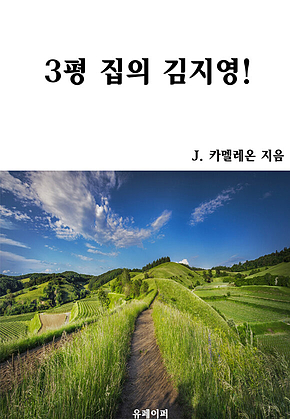 3평 집의 김지영! 표지