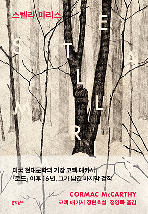 스텔라 마리스 표지