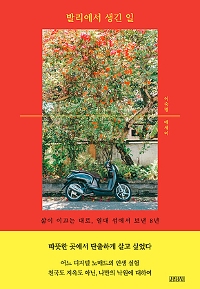 발리에서 생긴 일 표지