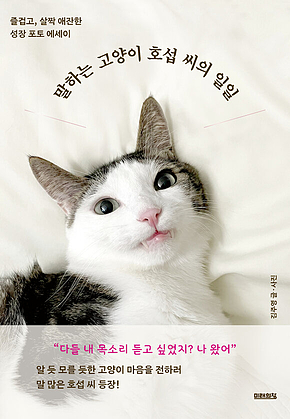 말하는 고양이 호섭 씨의 일일 : 즐겁고, 살짝 애잔한 성장 포토 에세이 표지