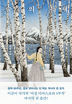슬픔의 틈새 표지