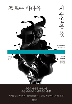 저주받은 몫 : 일반경제 시론-소진/소모 표지