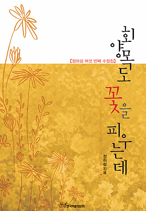 회양목도 꽃을 피우는데 표지