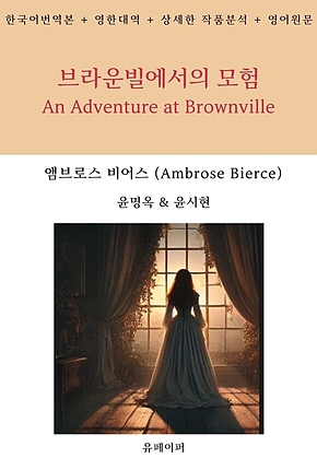 브라운빌에서의 모험 표지