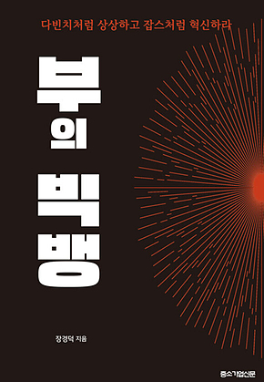 부의 빅뱅 : 다빈치처럼 상상하고 잡스처럼 혁신하라 표지
