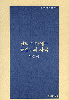 달의 이마에는 물결무늬 자국 표지