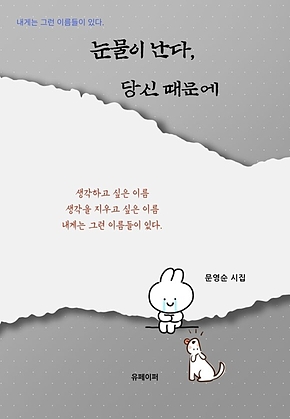 눈물이 난다, 당신 때문에 표지