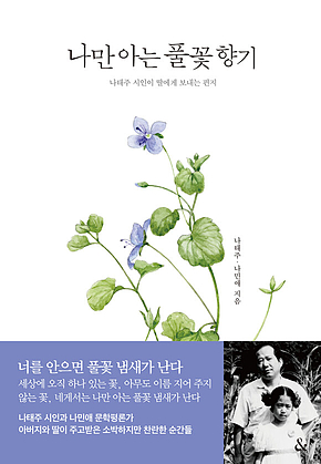 나만 아는 풀꽃 향기 : 나태주 시인이 딸에게 보내는 편지 표지