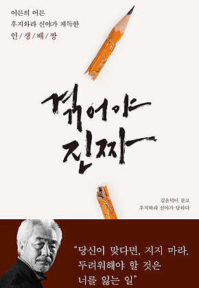겪어야 진짜 : 어른의 어른 후지와라 신야가 체득한 인생배짱 표지