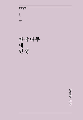 자작나무 내 인생 (문학동네포에지027) 표지