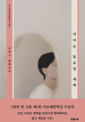 거미는 토요일 새벽 표지