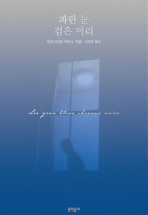 파란 눈 검은 머리 표지
