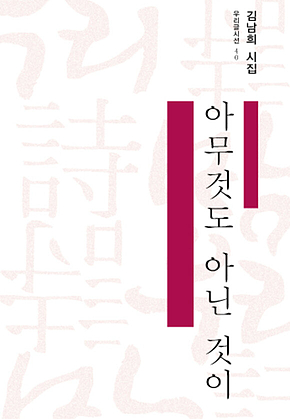 아무것도 아닌 것이 표지