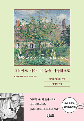 그럼에도 나는 이 삶을 사랑하므로 : 쫓기는 영혼을 위한 헤세의 편지 표지