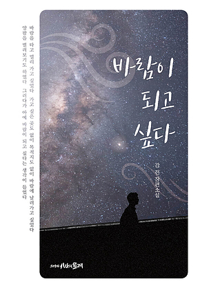 바람이 되고 싶다 표지