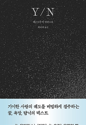 Y/N 표지