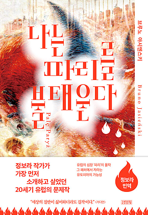 나는 파리를 불태운다 표지