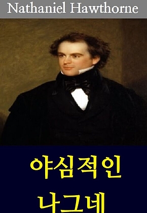 야심적인 나그네 표지