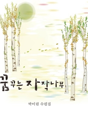꿈꾸는 자작나무 표지
