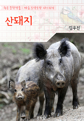 산돼지 : 김우진 (희곡 문학작품 - 마음 토닥토닥 다스리기) 표지