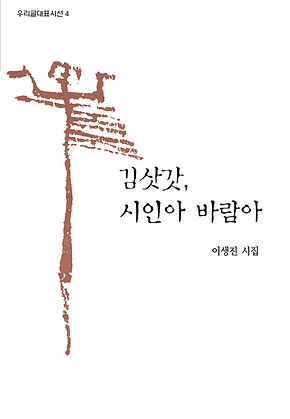 김삿갓 시인아 바람아 표지