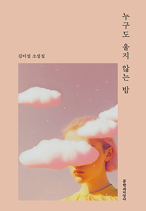 누구도 울지 않는 밤 표지